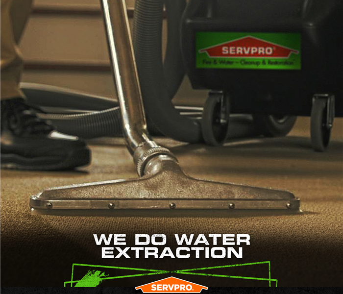 Image of SERVPRO tech using an extracting tool on carpet 